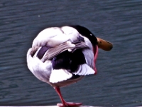 P1000417