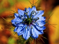 P6023386