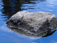 P8263370