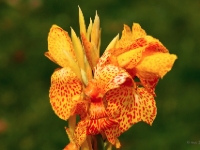 P8263444