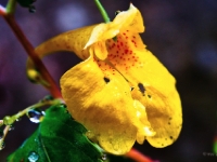 P9025920
