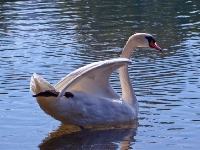 P9251379