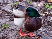 PB122371