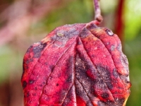 PB122399